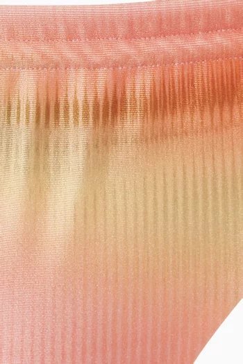 Lula Bikini Briefs in Lycra