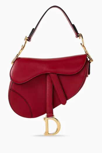 Mini Saddle Satchel Bag in Calf Leather