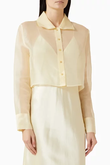 Jasen Crop Top in Silk Organza