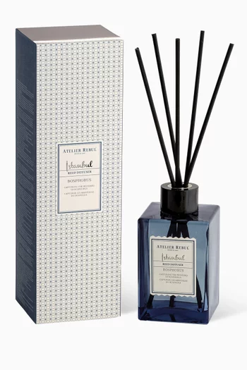 Istanbul Bosphorus Reed Diffuser, 515ml