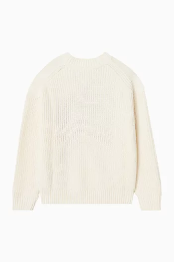 Logo Flag Sweater in Knit