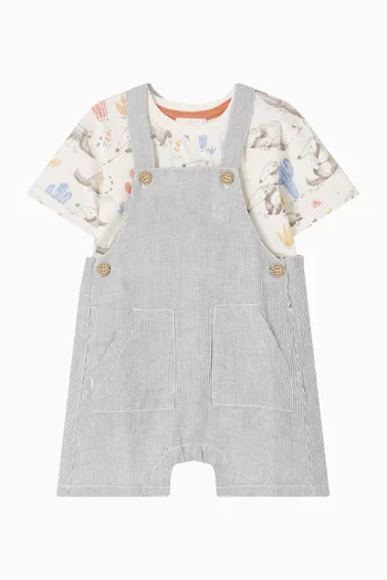 Anteater Striped Overall Set