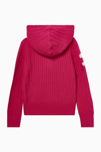 Polo Pony Knit Hoodie