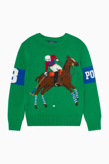 Graphic Logo Sweater in Knit