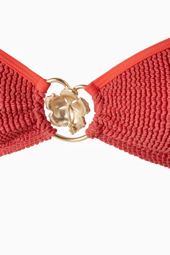 قطعة بيكيني علوية لونا كيني