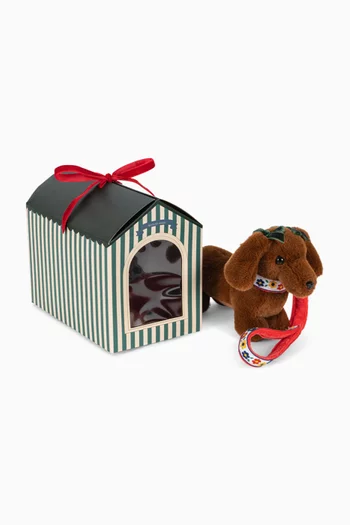 Pet Puppy Toy Set