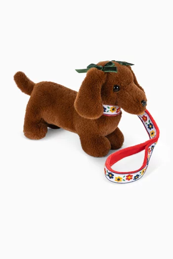 Pet Puppy Toy Set