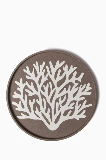 Large Curiosity Tray in Leather