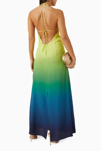 Gradient Maxi Dress in Silk