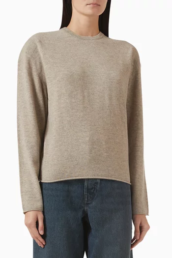 Crewneck Sweater in Wool