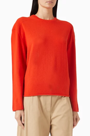 Crewneck Sweatshirt in Merino-wool