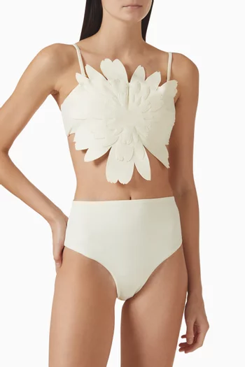 قطعة بيكيني علوية مارغريتا بقصة طويلة نايلون مطاطي