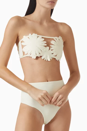 قطعة بيكيني سفلية بخصر مرتفع نايلون مطاطي