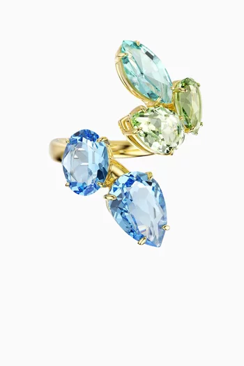 Gema Open Ring in Gold-tone Metal