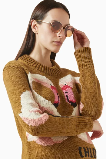 نظارة شمسية كبيرة بإطار دائري معدن