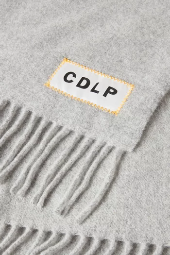 Fringed Scarf in Wool