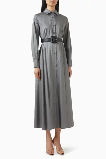 Belted Shirt Dress