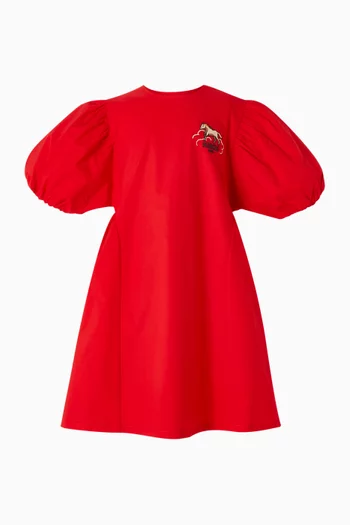 Lunar New Year Embroidered Dress