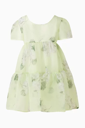 Floral Organza Dress