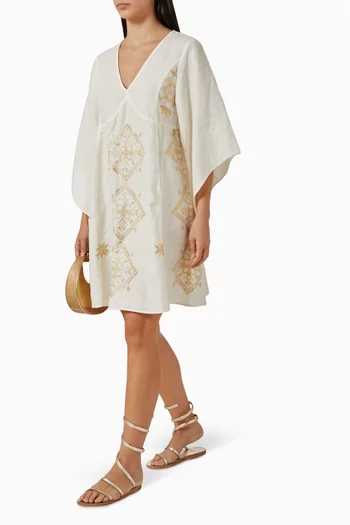 V-neck Embroidered Mini Dress