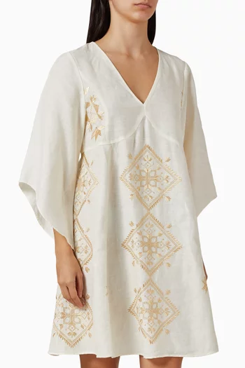 V-neck Embroidered Mini Dress