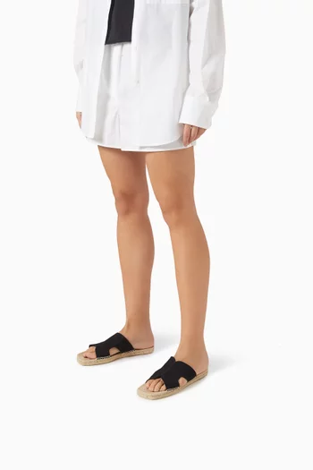 Priya Slides in Canvas