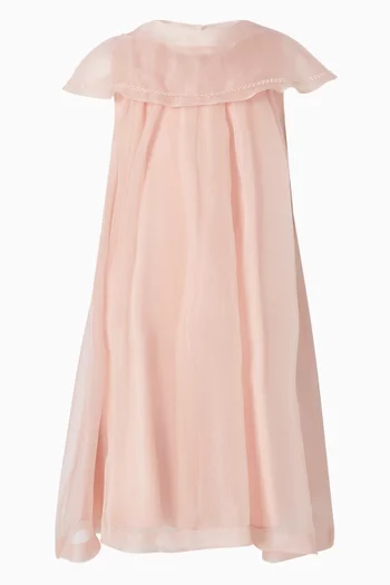 Embroidered Dress in Tulle