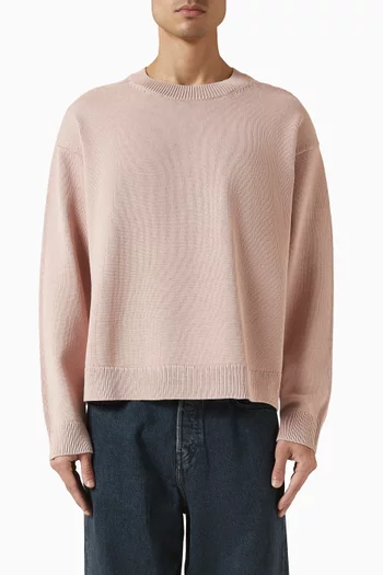 Crew-neck Sweater in Cotton