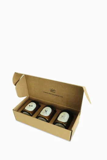 The Holiday Candle Collection, Set of 3