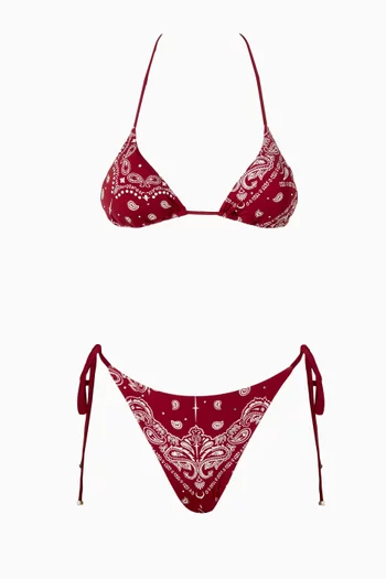 Printed Triangle Bikini Set