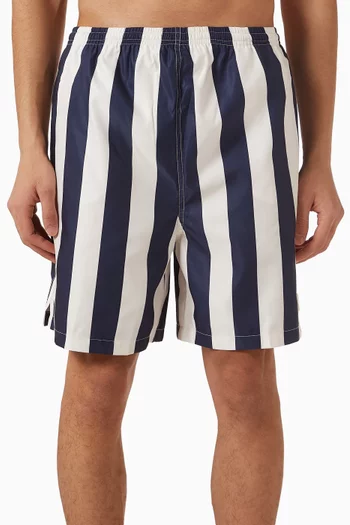 Striped Swim Shorts