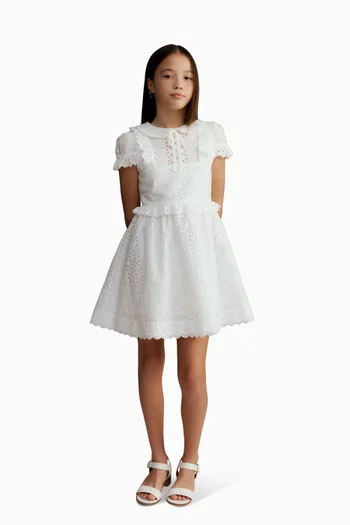 Ava Embroidered Dress