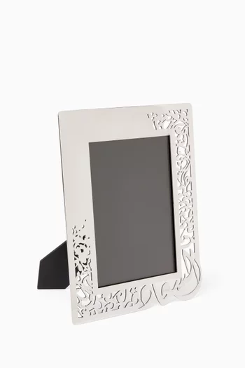 إطار صور بروغريشين ستانلس ستيل