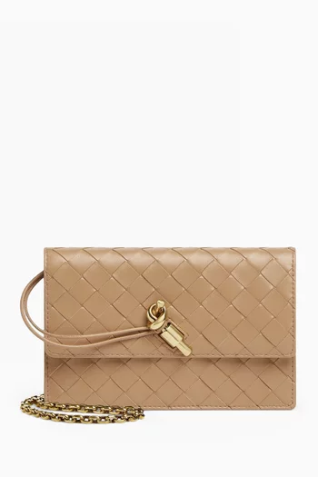 Andiamo Chain Pouch in Intrecciato Leather