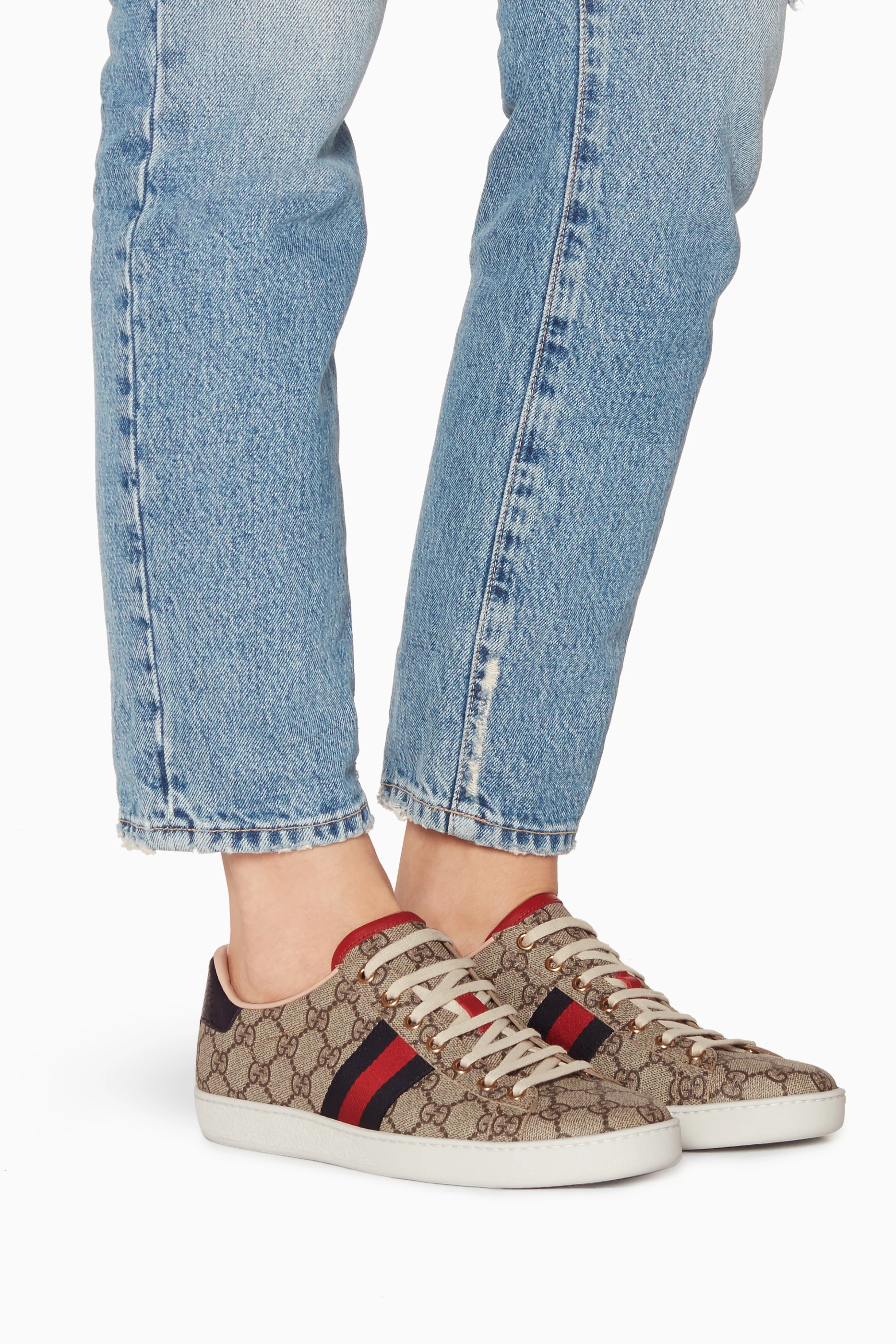Ace gg supreme sneaker women's online
