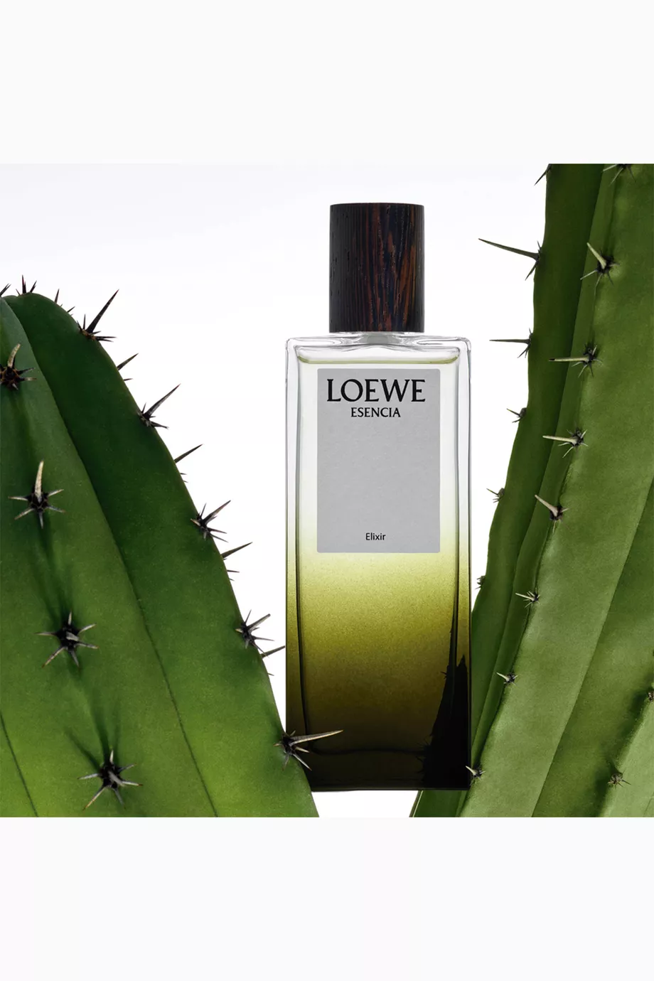 Buy LOEWE PERFUMES Esencia Elixir Eau de Parfum, 100ml For